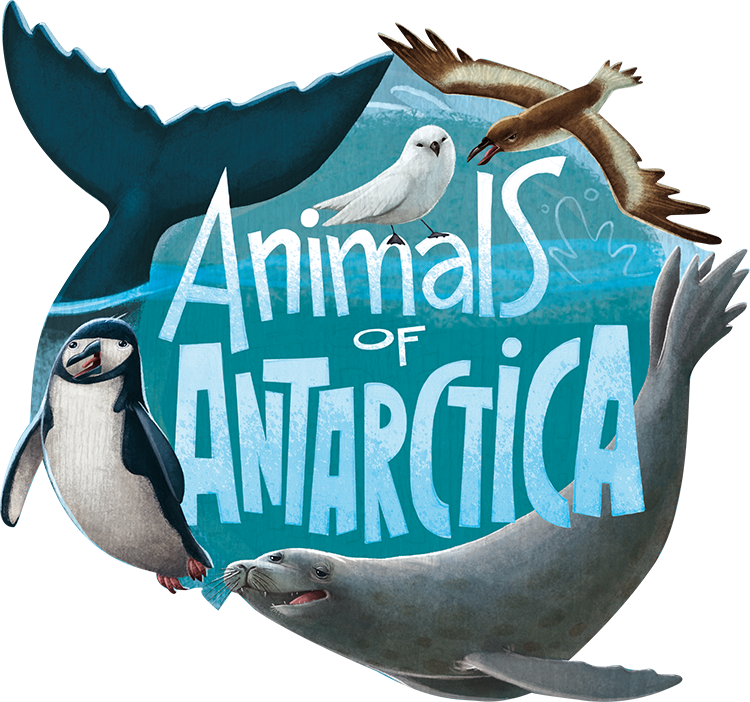 Animales-Antartida_aislado Animals of Antarctica